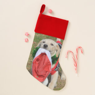 Yellow Lab Puppy With Santa Hat Christmas Stocking