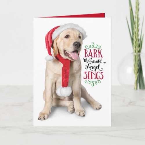 Yellow Lab Puppy with Santa Hat_ Labby Holidays Holiday Card