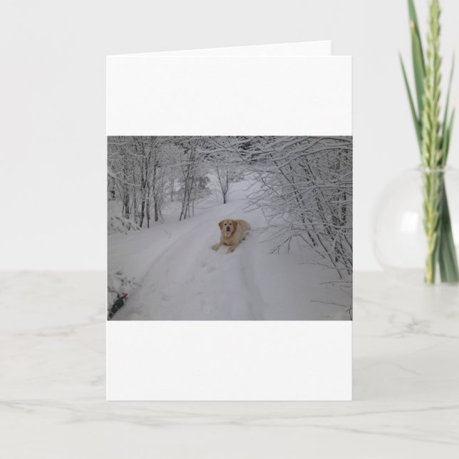 Yellow Lab Relaxing in Fresh Winter Snow Holiday Card (Front)