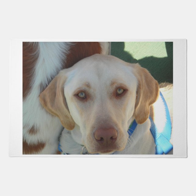 yellow lab second doormat (Front)