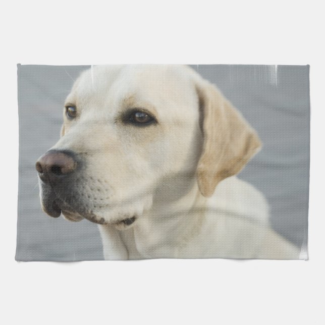 Yellow Lab Towel (Horizontal)