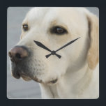 Yellow Lab Wall Clock<br><div class="desc">Yellow labrador retriever dog for dog lovers.</div>