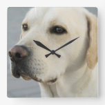 Yellow Lab Wall Clock