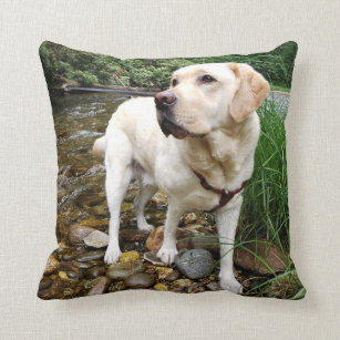 https://rlv.zcache.com/yellow_lab_water_dog_playing_in_a_creek_throw_pillow-re93d09f3dd094c1f9b4901ad7658c3fc_6s309_8byvr_307.jpg