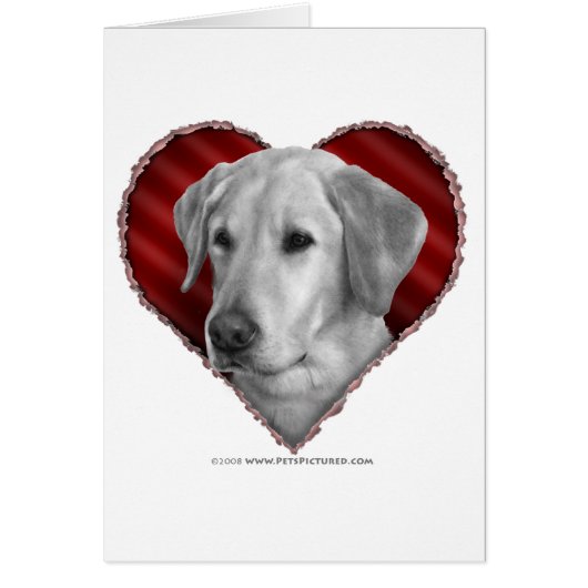 Yellow Lab with Heart Cards (Front)