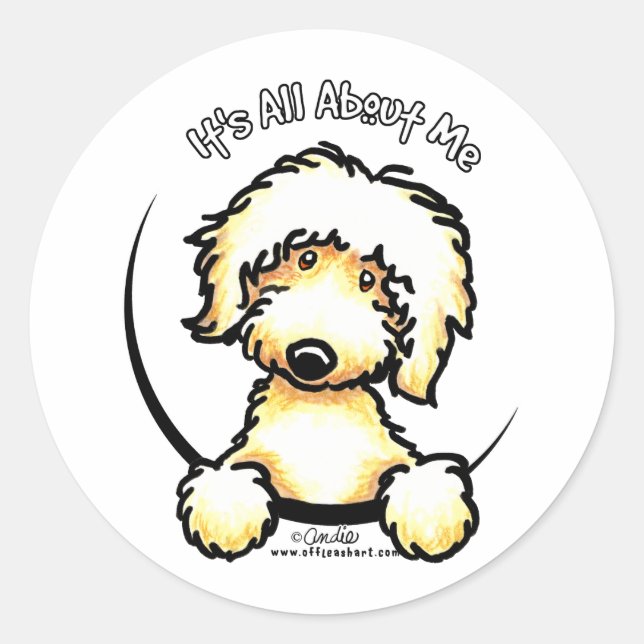 Yellow Labradoodle IAAM Classic Round Sticker (Front)