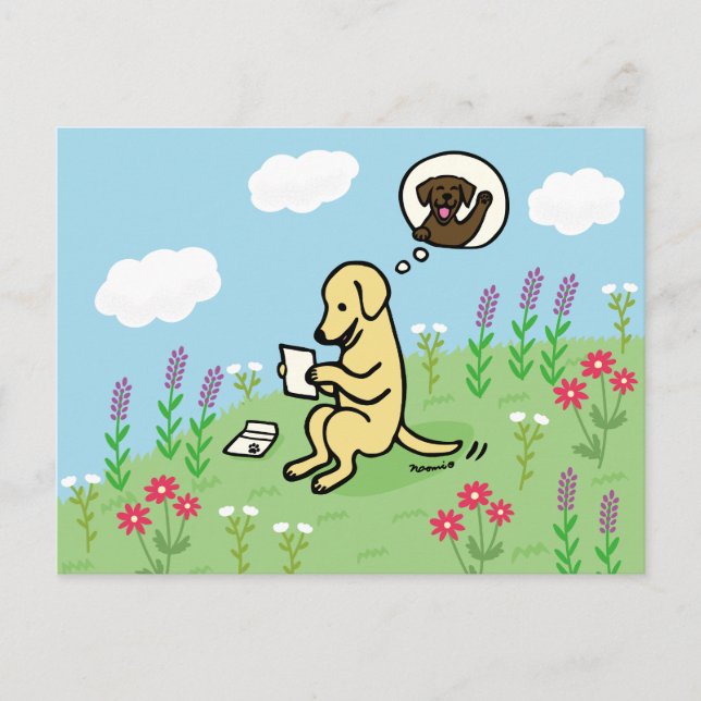 Yellow Labrador and Letter from a Friend Postcard (Front)