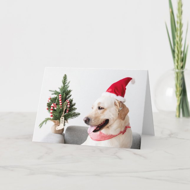 YELLOW LABRADOR AT CHRISTMAS Folded Greeting Card (Front)