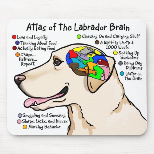 Yellow Labrador Brain Atlas Mouse Pad