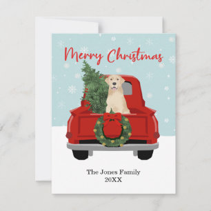 Yellow Labrador Christmas Red Truck Family Name  Holiday Card