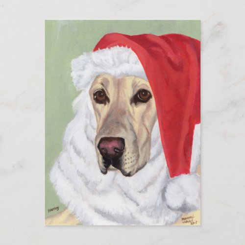 Yellow Labrador Christmas Santa Postcards