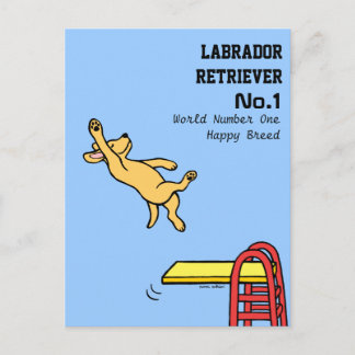 Yellow Labrador Diving Cartoon Postcard