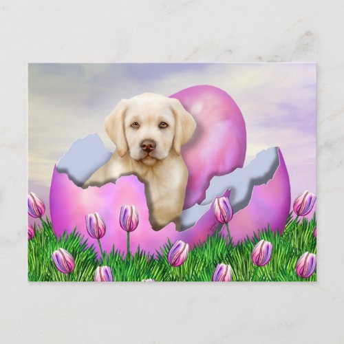 Yellow Labrador Easter Surprise Holiday Postcard