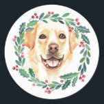 Yellow Labrador Elegant Dog Christmas Classic Round Sticker<br><div class="desc">Add the finishing touch to your holiday cards, gifts wrapping or party this holiday season with this elegant yellow labrador retriever in a wreath design christmas stickers, and matching decor. This yellow labrador holiday stickers features a watercolor dog in a green and red wreath with holly and berries. This yellow...</div>