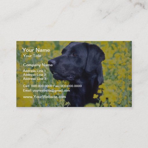 Customizable yellow Labrador flowers Business Card