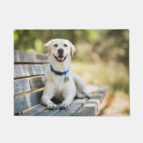 Yellow Labrador Lays On Bench Doormat