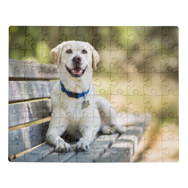 Yellow Labrador Lays On Bench Jigsaw Puzzle (Puzzle Horizontal)