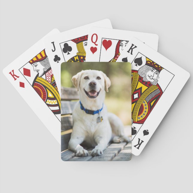 Yellow Labrador Lays On Bench Poker Cards (Back)