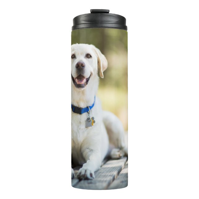 Yellow Labrador Lays On Bench Thermal Tumbler (Front)