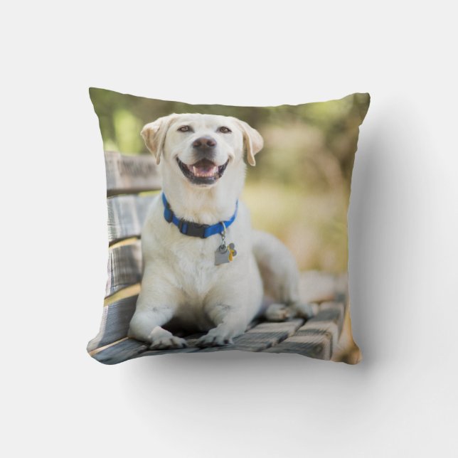 Yellow Labrador Lays On Bench Throw Pillow (Front)