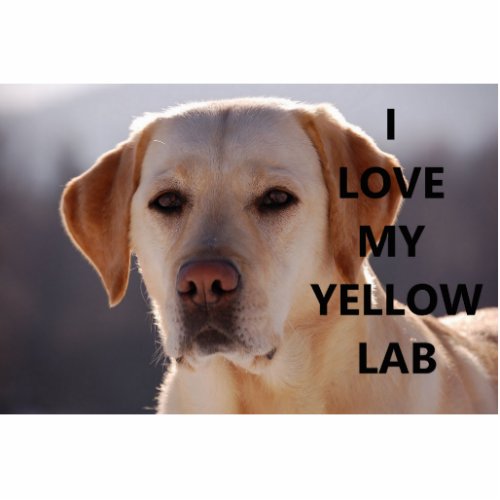 yellow labrador love w pic cutout