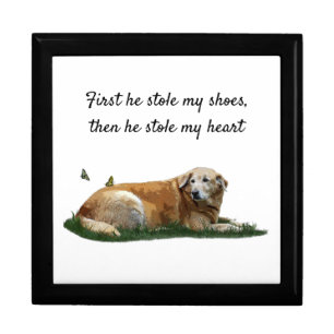 Yellow Labrador Mixed Breed Dog Keepsake Box