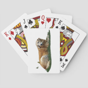 Yellow Labrador Mixed Breed Dog Playing Cards