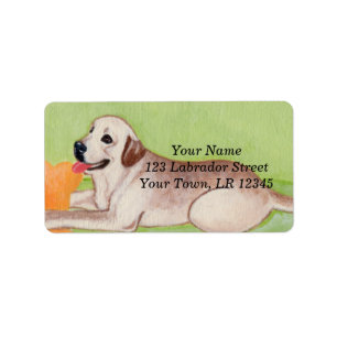 Yellow Labrador on the green couch Label