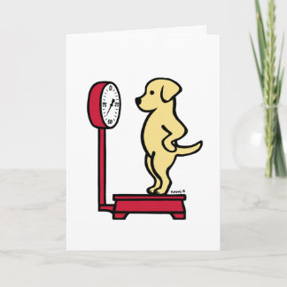 Yellow Labrador on the Scale Card