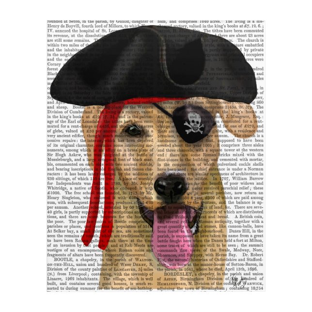 Yellow Labrador Pirate 2 Acrylic Print (Front)