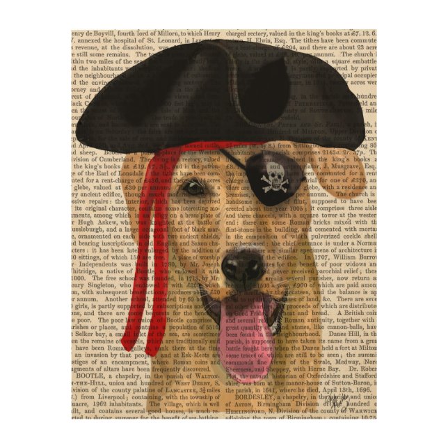 Yellow Labrador Pirate 2 Wood Wall Art (Front)
