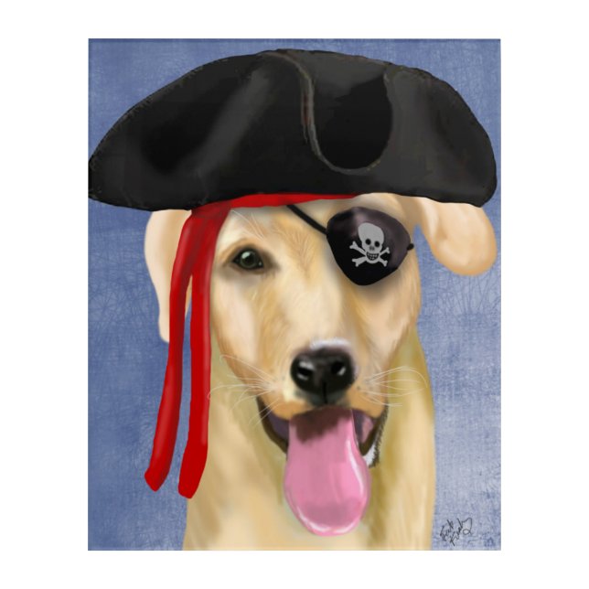 Yellow Labrador Pirate Acrylic Print (Front)