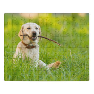 Yellow Labrador Plays Fetch With Stick Jigsaw Puzzle