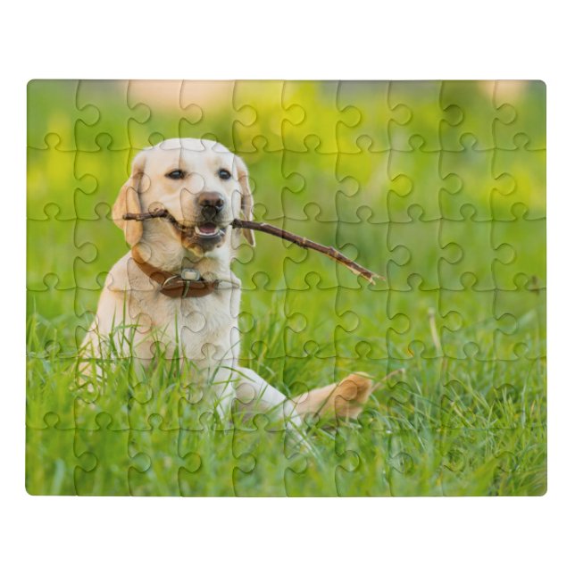 Yellow Labrador Plays Fetch With Stick Jigsaw Puzzle (Puzzle Horizontal)