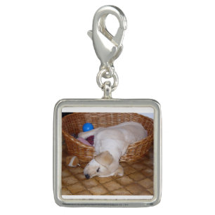 yellow labrador pup.png charm