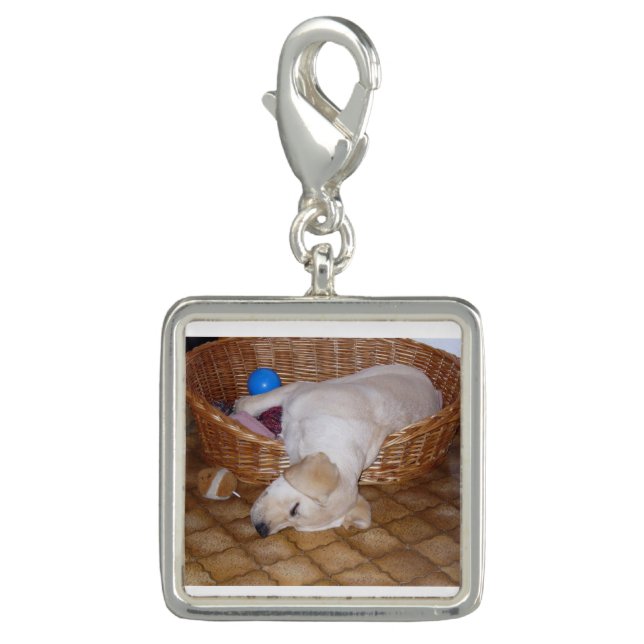 yellow labrador pup.png charm (Front)
