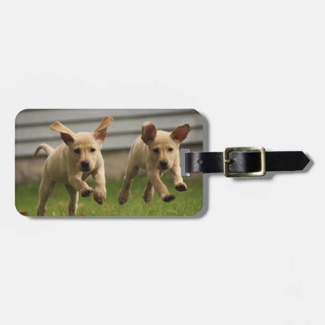 Yellow Labrador Puppies Running Luggage Tag (Front Horizontal)