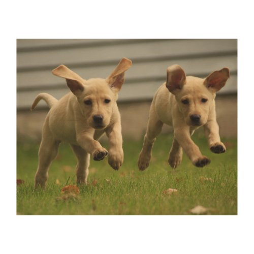 Yellow Labrador Puppies Running Wood Wall Decor