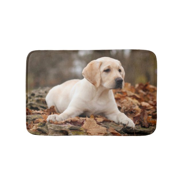 Yellow Labrador Puppy In Autumn Bathroom Mat (Front)