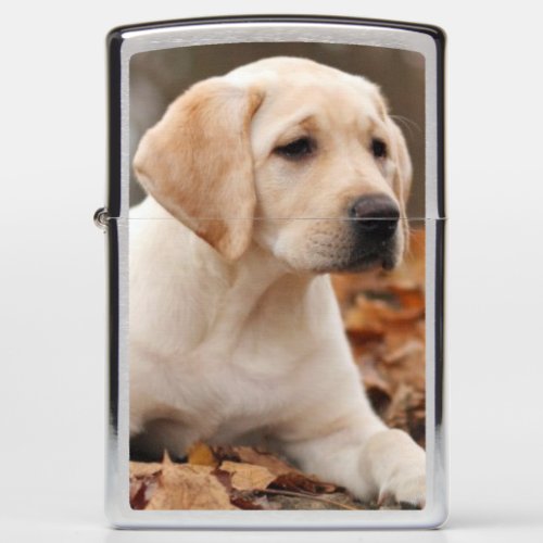 Yellow Labrador Puppy In Autumn Zippo Lighter