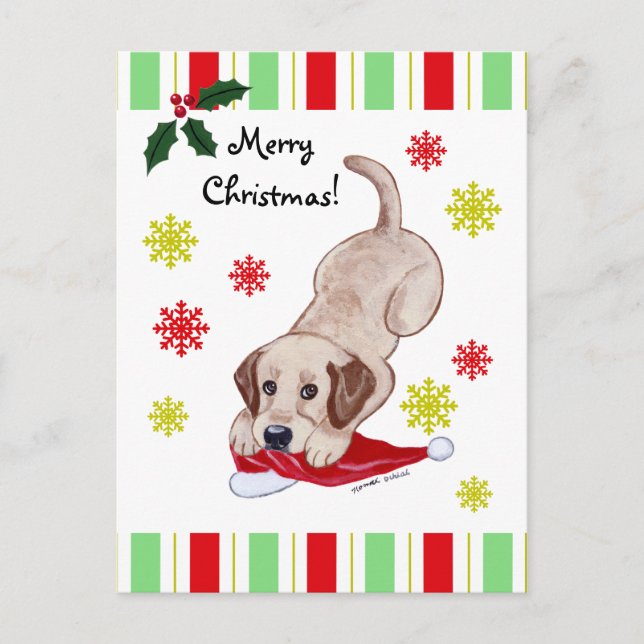 Yellow Labrador Puppy & Santa Hat Christmas Holiday Postcard (Front)