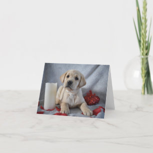 Yellow Labrador Puppy Valentines Day Thank You Card