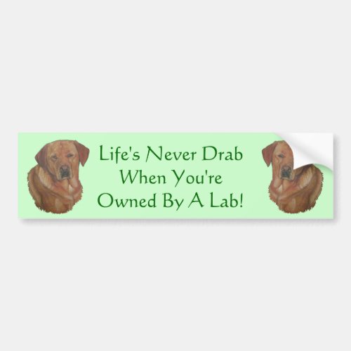 yellow labrador reteiver dog portrait fun slogan bumper sticker