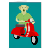 Yellow Labrador Retriever  (Front)