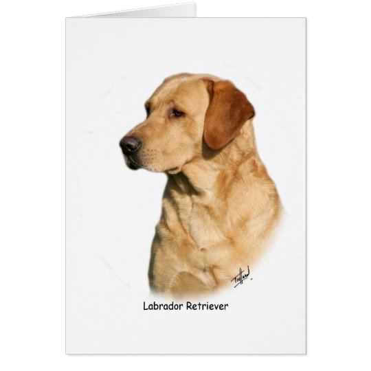 Yellow Labrador Retriever Card