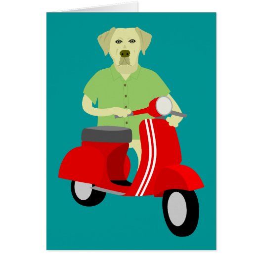 Yellow Labrador Retriever Cards (Front)