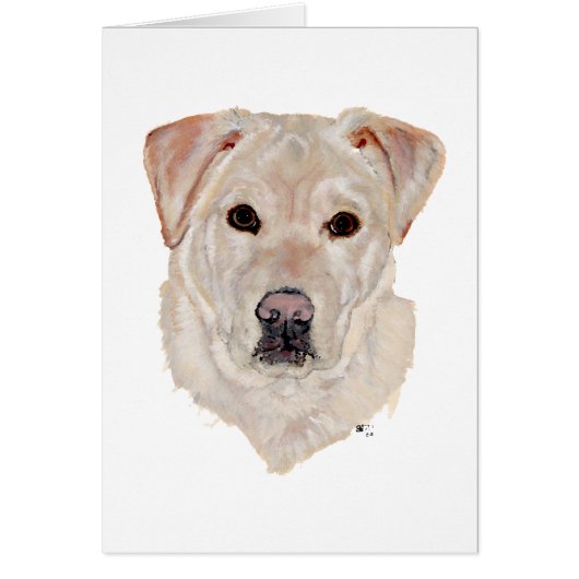Yellow Labrador Retriever Cards (Front)