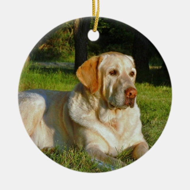 Yellow Labrador Retriever Ceramic Ornament (Front)