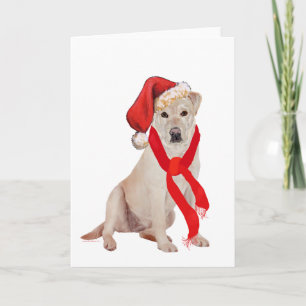 Yellow Labrador Retriever Christmas Holiday Card
