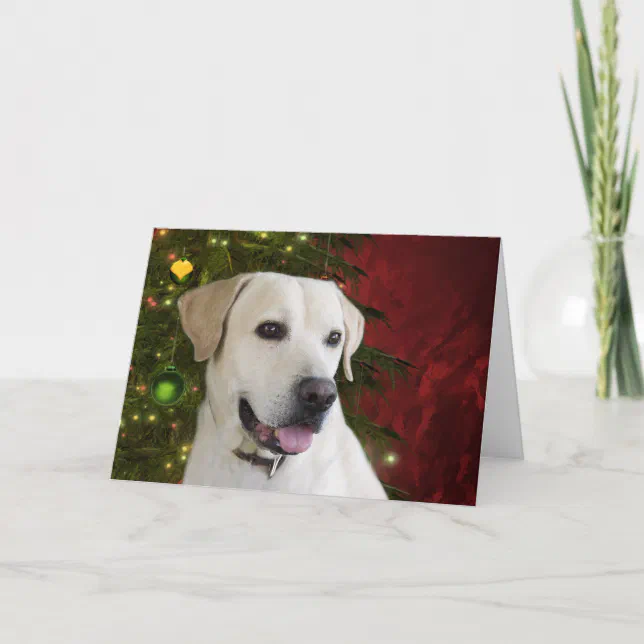 Yellow labrador retriever Christmas Holiday Card | Zazzle